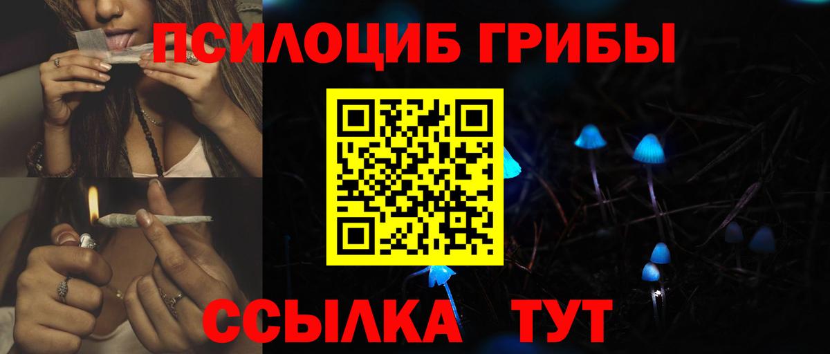 Псилоцибиновые грибы мухоморы Александров