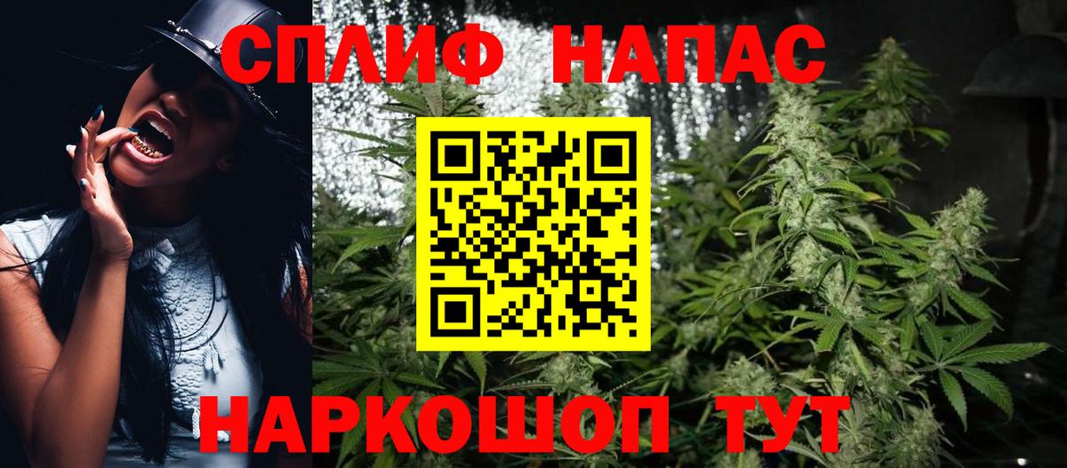 Конопля OG Kush Александров
