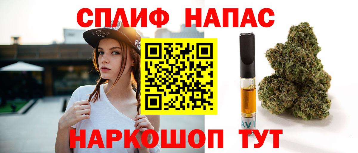 Псилоцибиновые грибы Александров